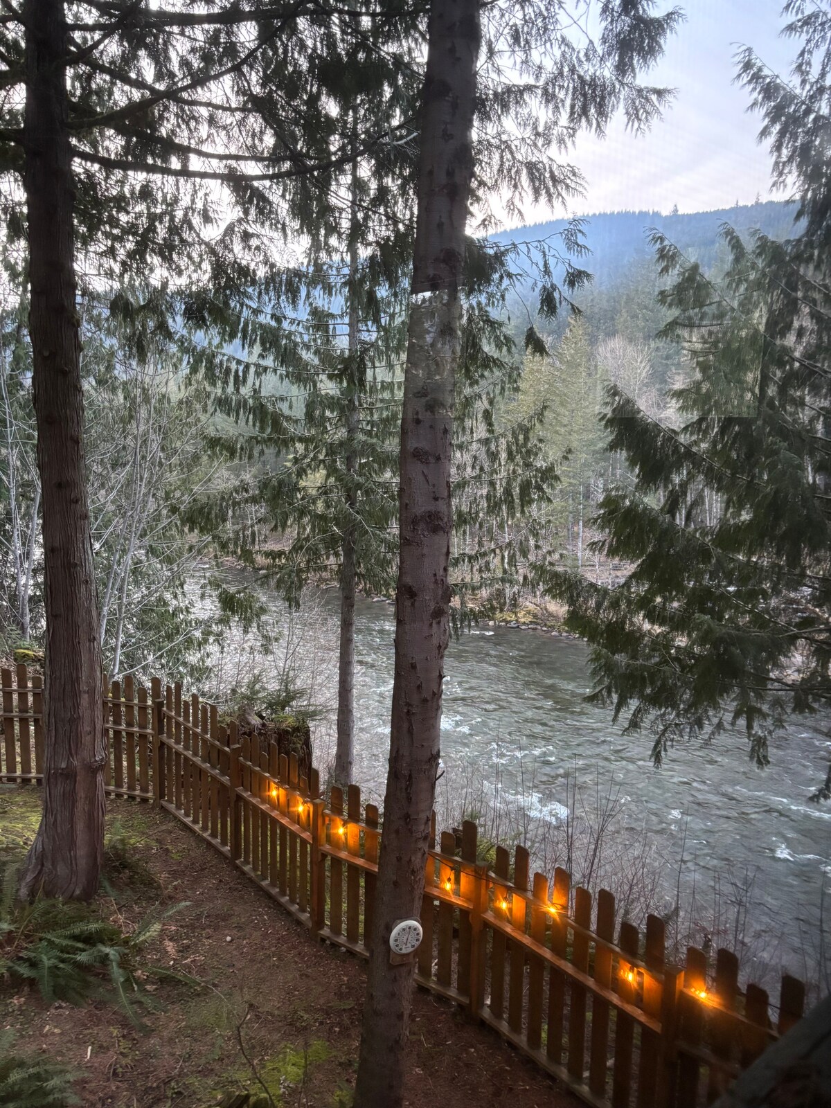 View through the trees toward the Sandy River
