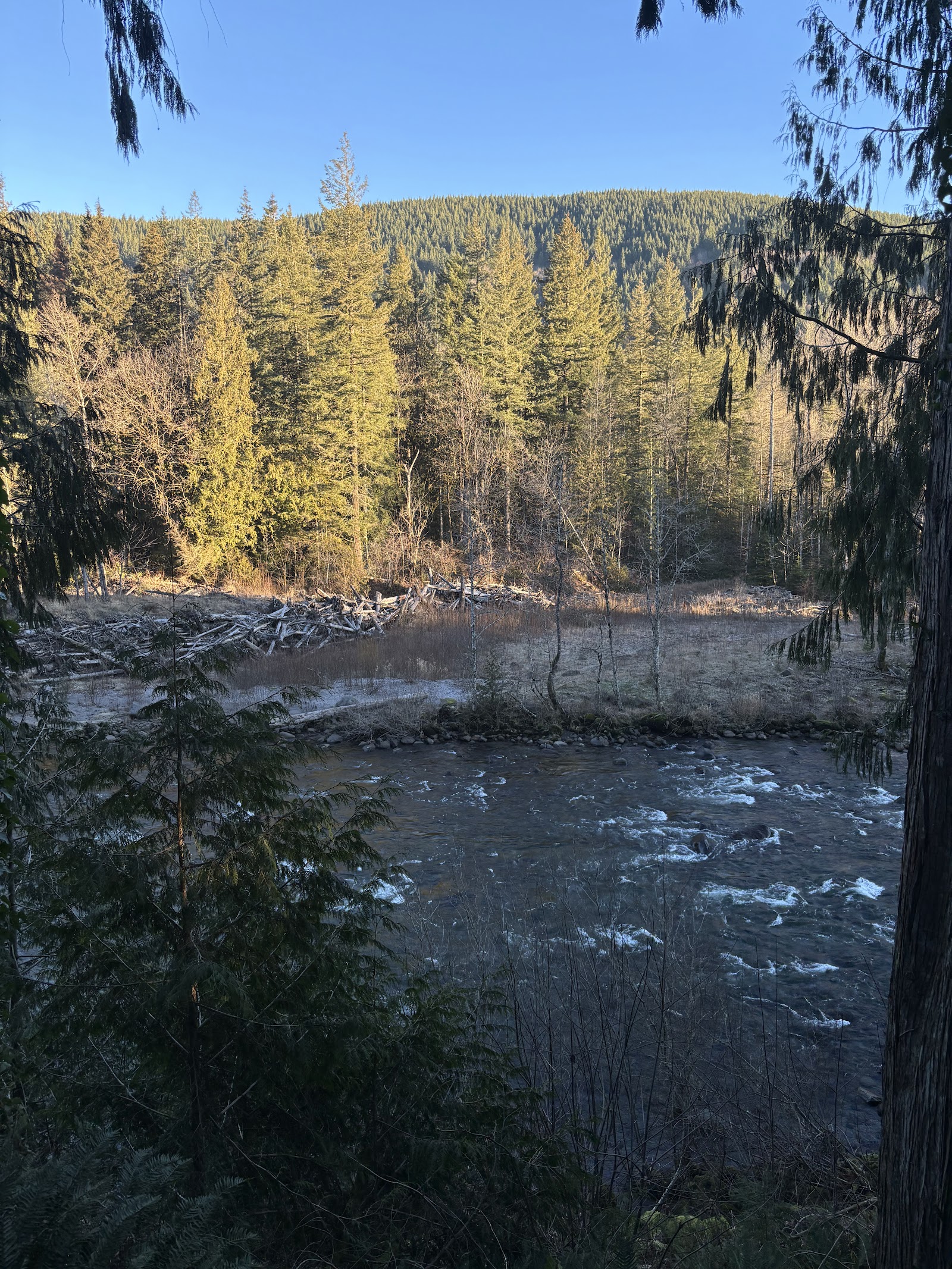 The Sandy River and forested mountain seen from the property